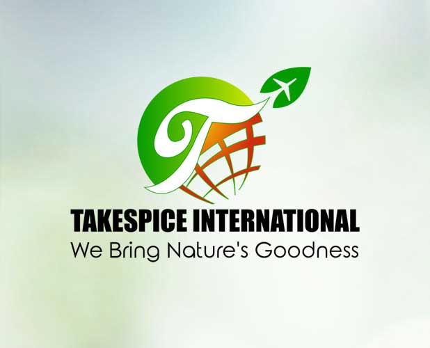 Logo Designing